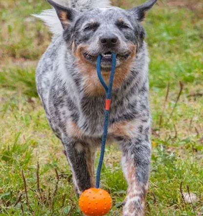 Dog Training Rubber Ball with Rope