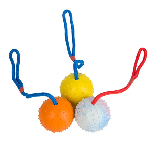 Dog Training Rubber Ball with Rope