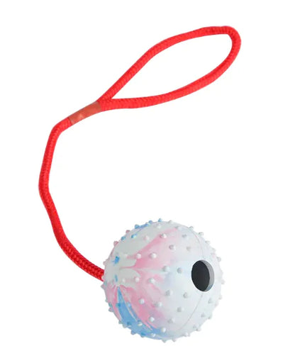 Dog Training Rubber Ball with Rope