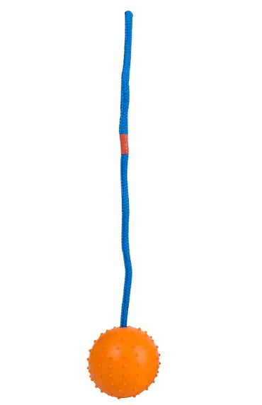 Dog Training Rubber Ball with Rope