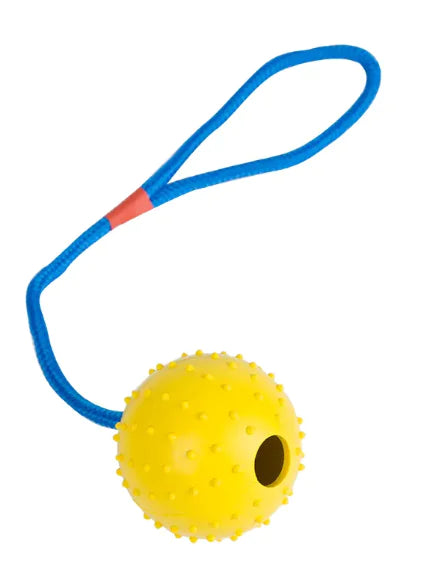 Dog Training Rubber Ball with Rope